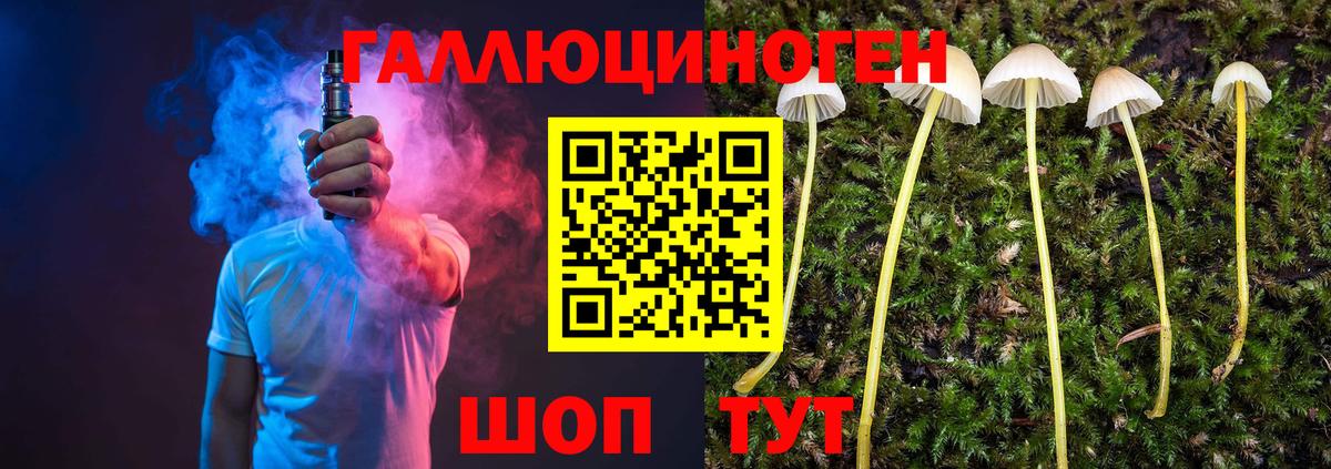продажа наркотиков  Псилоцибиновые грибы ЛСД  Вход с VPN  Ивантеевка 