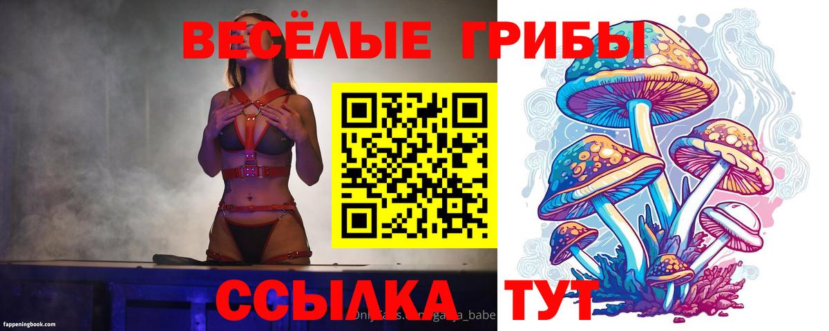 Галлюциногенные грибы Psilocybe Ивантеевка